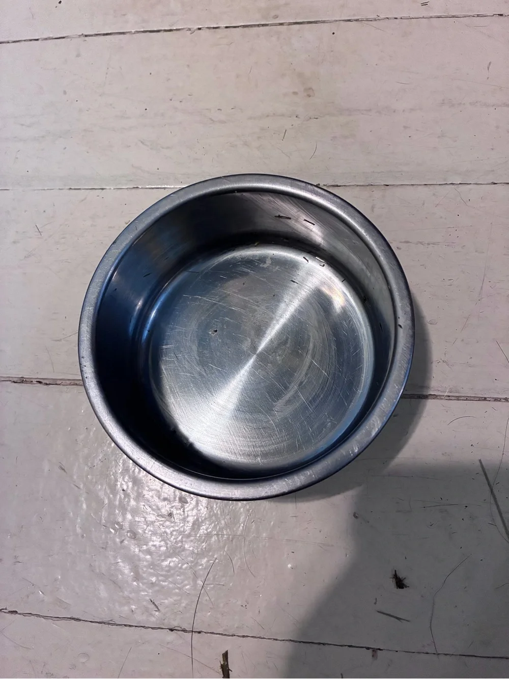 Stainless Steel Pet Bowl - Silver